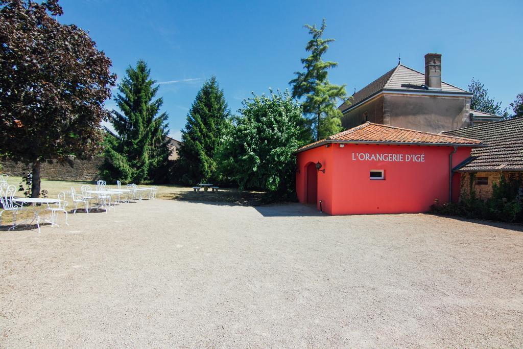 Chateau D'Ige Kültér fotó